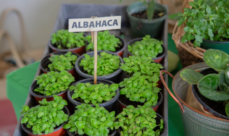 Mercado Agrícola en la Facultad de Ciencias Naturales