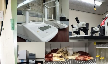Amgen hace donativo al Laboratorio de Etnoecología y Paleoambientes Humanos del Centro de Investigaciones Sociales delRecinto de Río Piedras